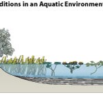 Abiotic conditions in an aquatic environment