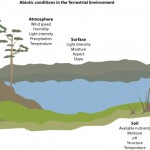 Mr G’s Environmental Systems » 2.2. 0: Measuring abiotic components of