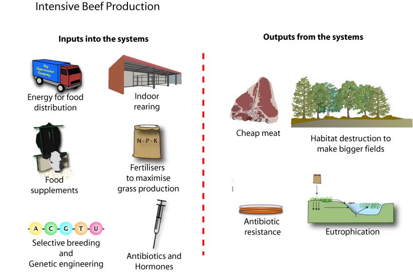 intensive farming system